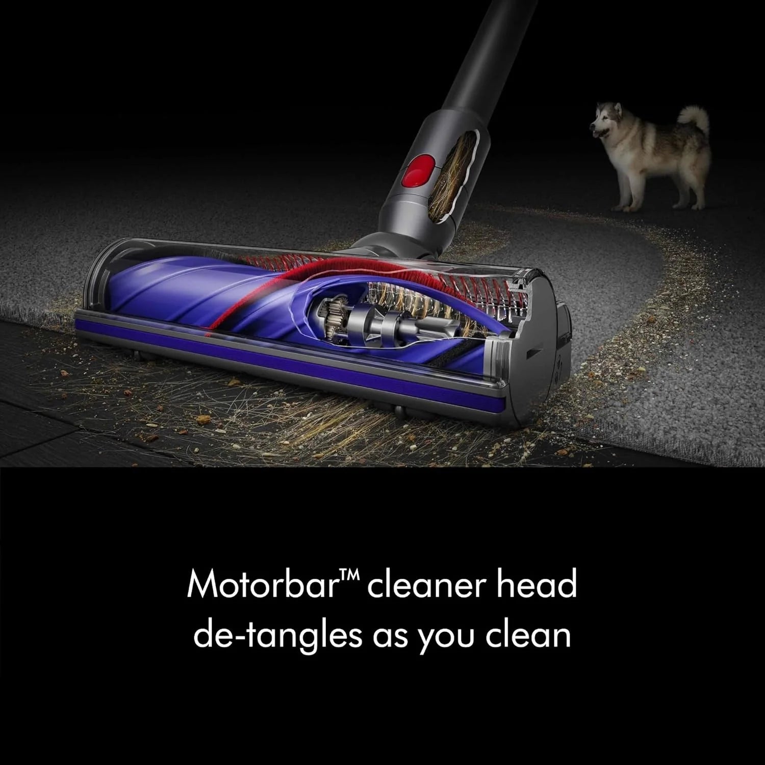 2026 Dyson V8 Cordless Vacuum Cleaner