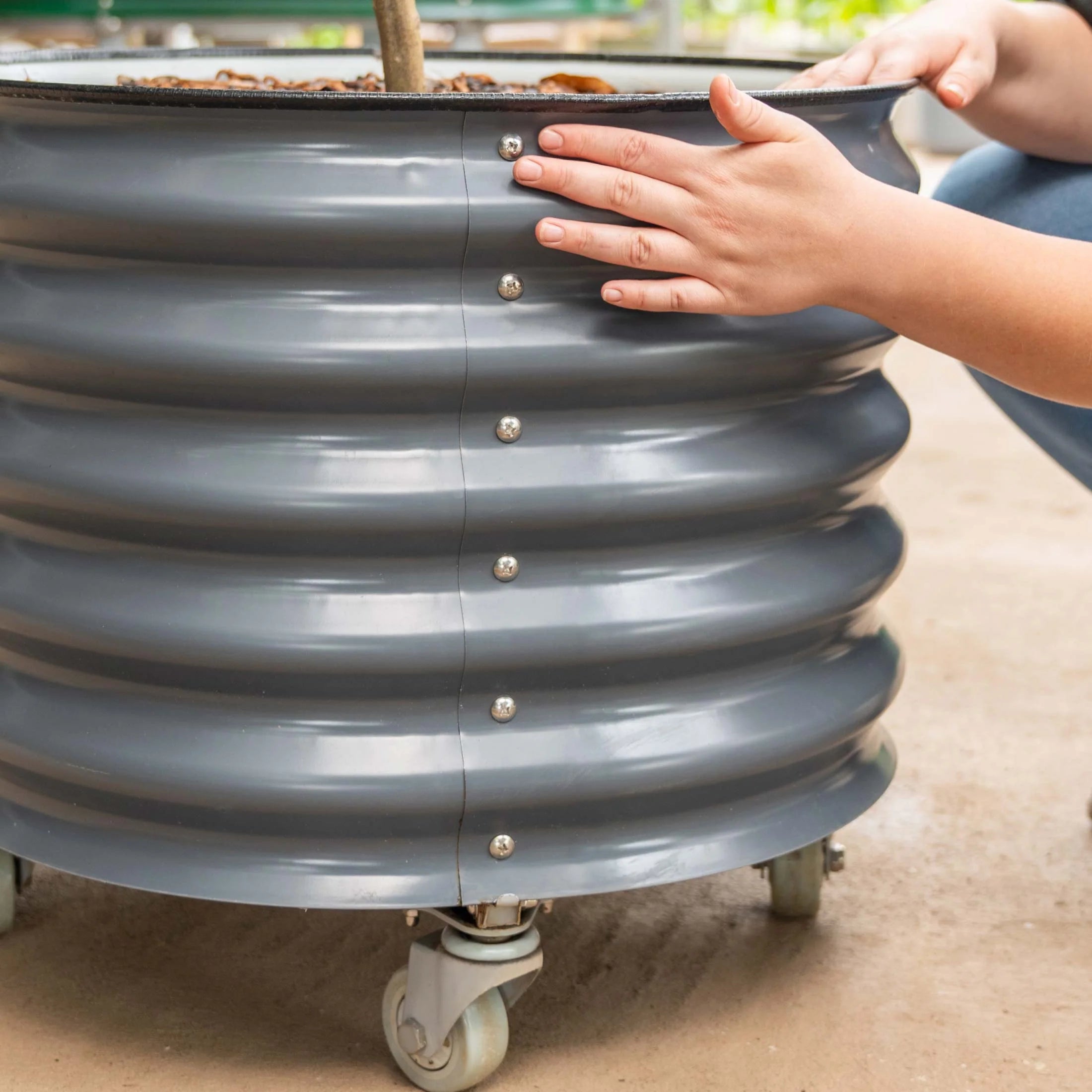 Self-watering Rolling Citrus Tree Planter