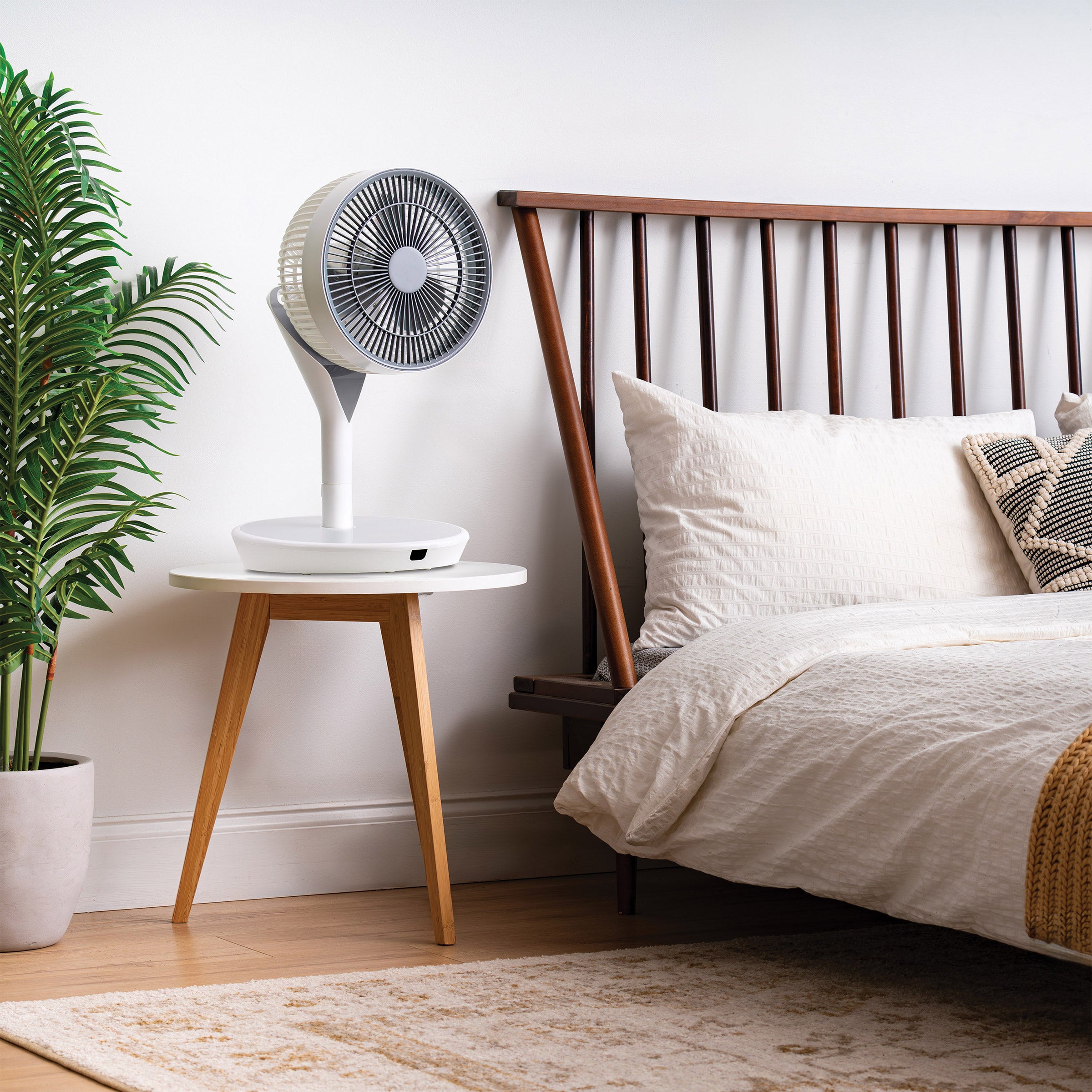 2026 Woozoo 360 Pedestal Fan