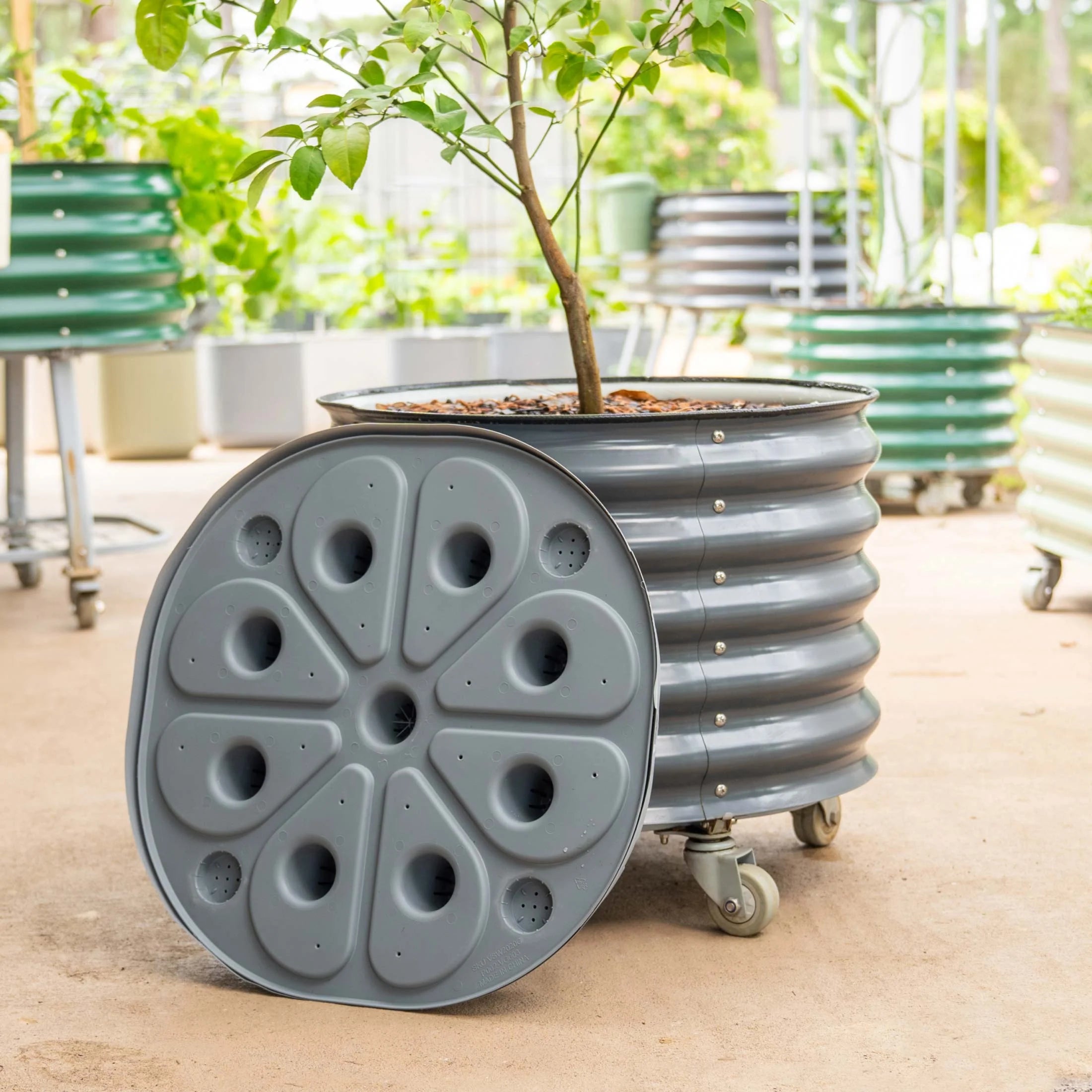 Self-watering Rolling Citrus Tree Planter