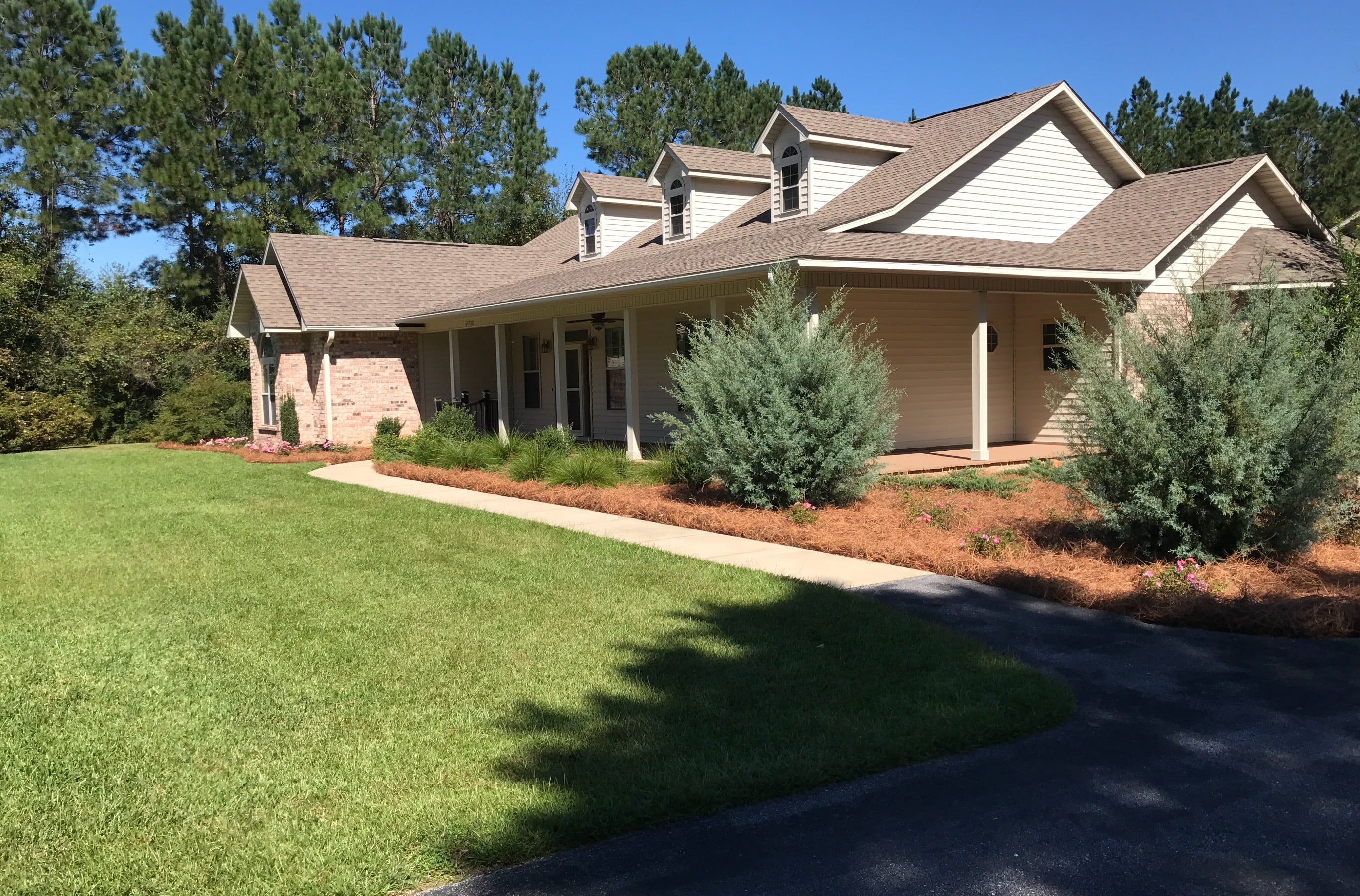 2026 Premium Long Needle | Pine Straw Mulch | 300 Sqft