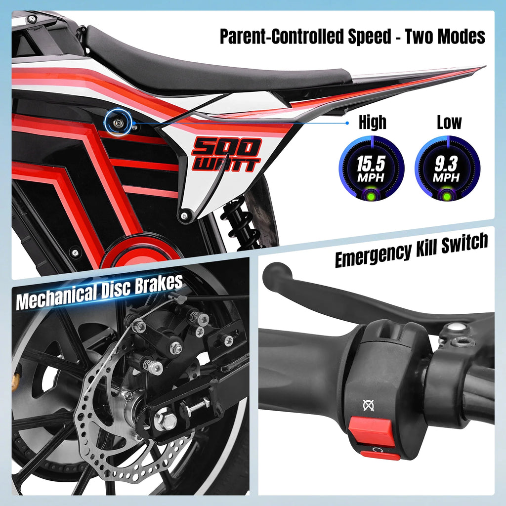 2026 QEASET electric dirt bike, 500W kids dirt bike for Boys Girls Age 8-14, Blue