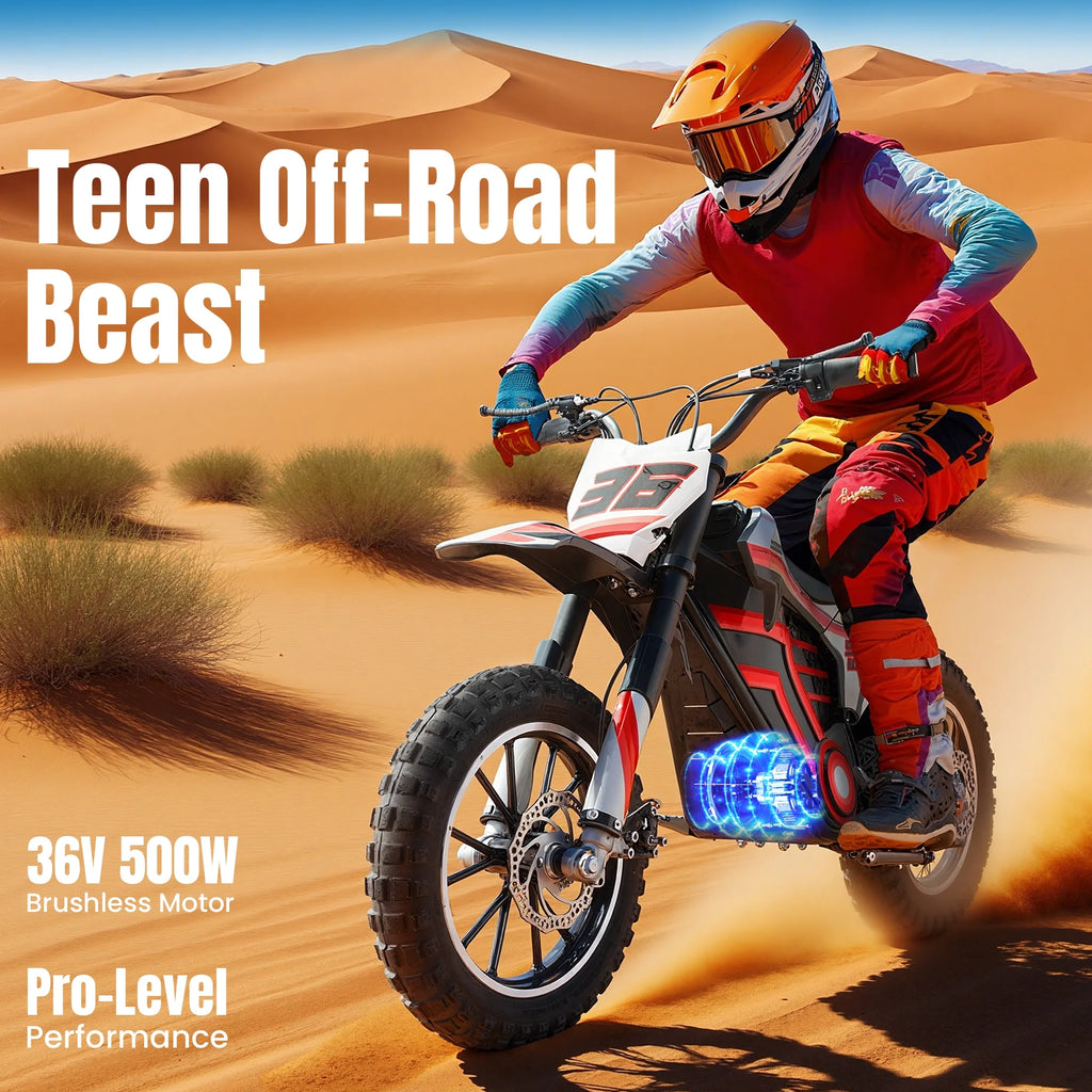 2026 QEASET electric dirt bike, 500W kids dirt bike for Boys Girls Age 8-14, Blue