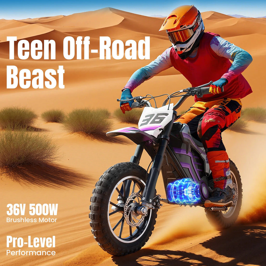 2026 QEASET electric dirt bike, 500W kids dirt bike for Boys Girls Age 8-14, Blue