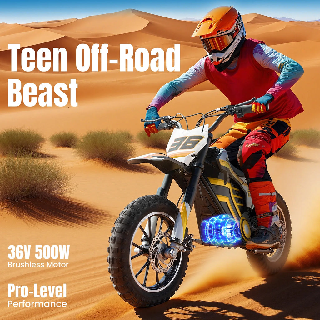 2026 QEASET electric dirt bike, 500W kids dirt bike for Boys Girls Age 8-14, Blue